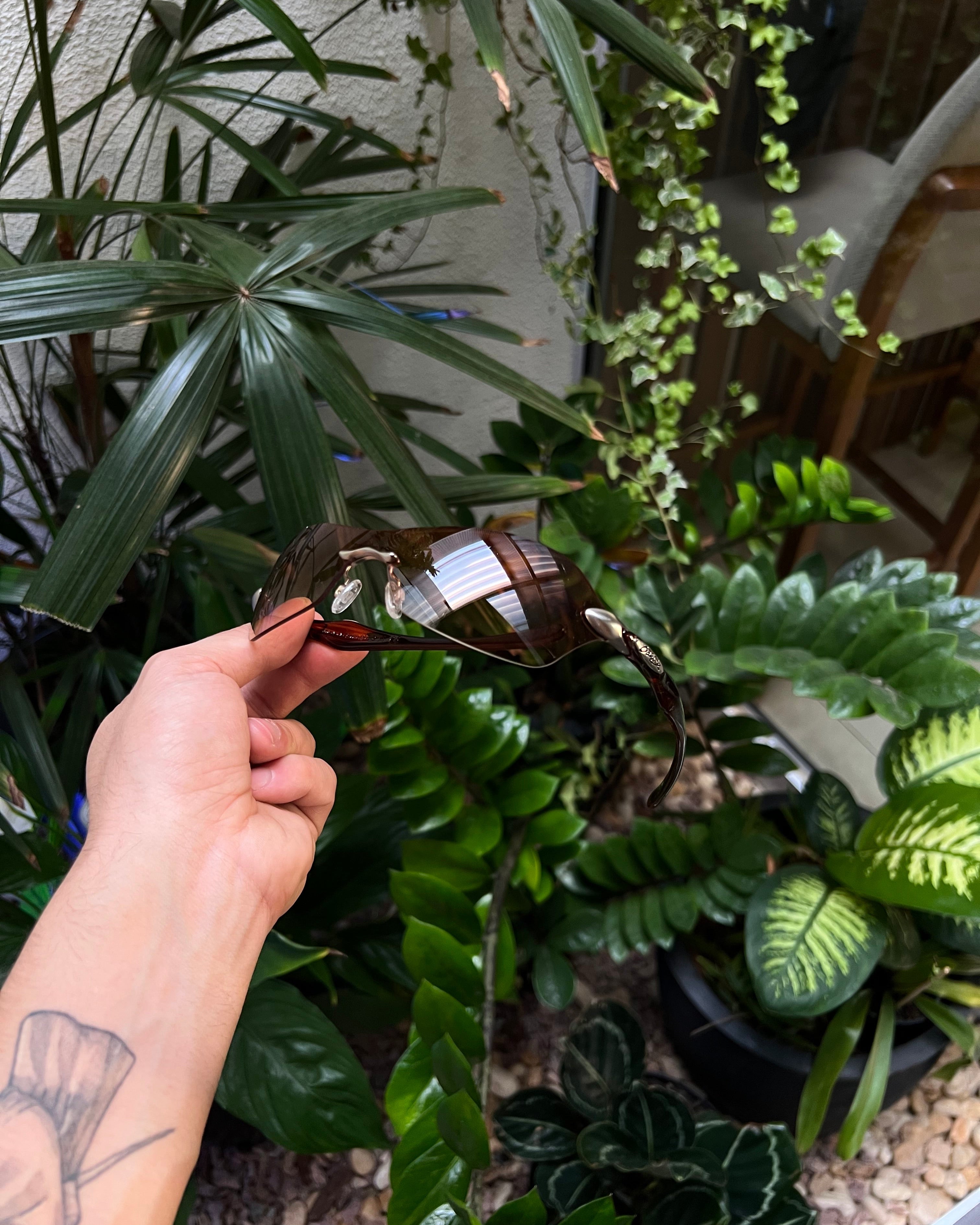 Oculos feminino marrom