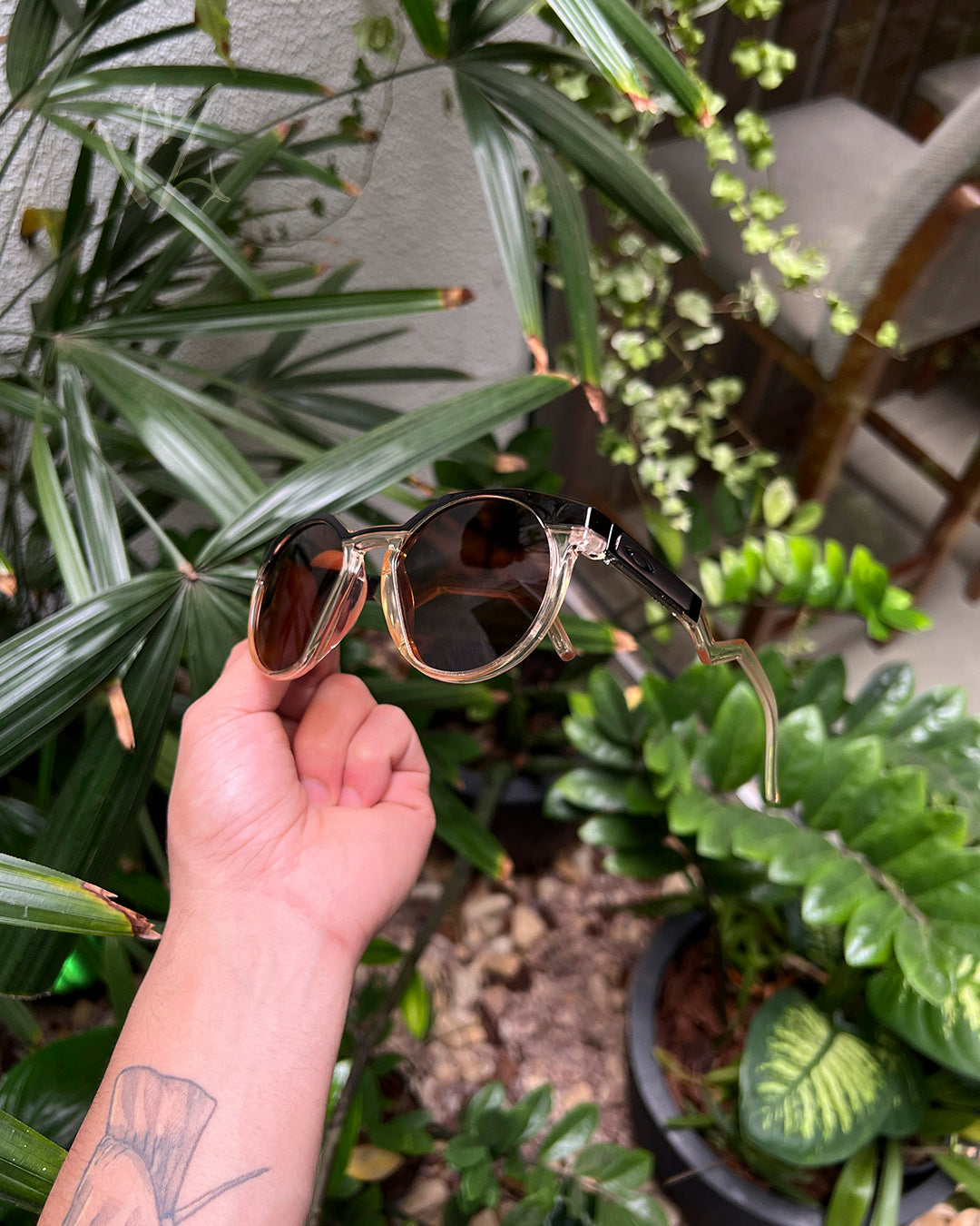 Oakley, Lupas, Juliet, Radar