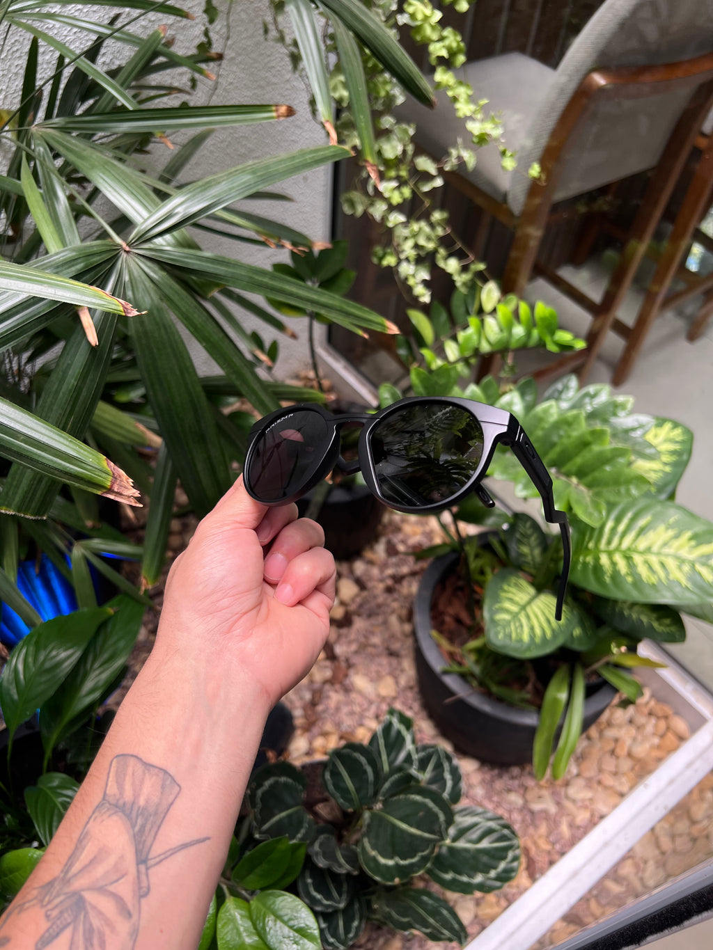 Oakley, Lupas, Juliet, Radar