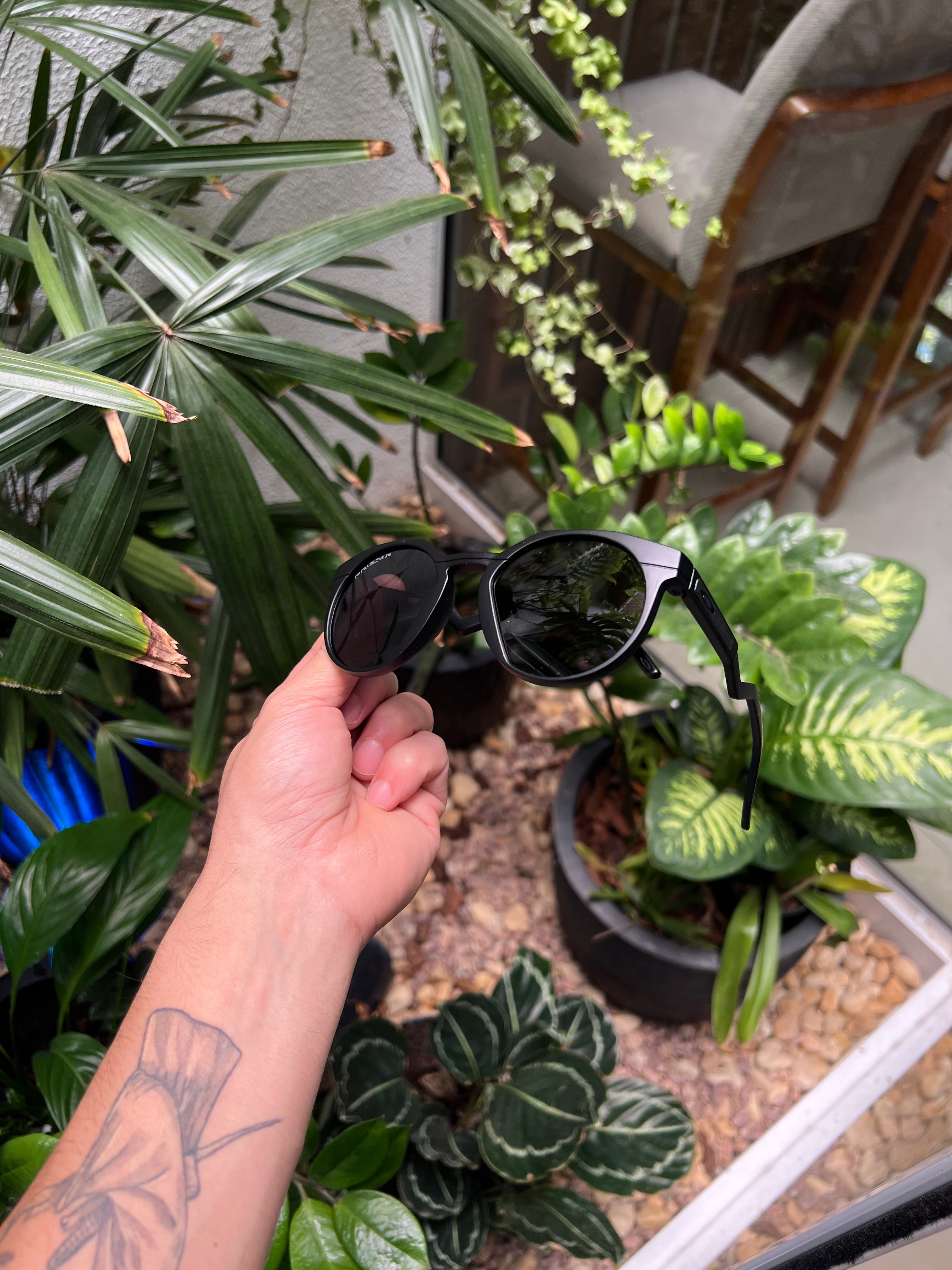 Oakley, Lupas, Juliet, Radar