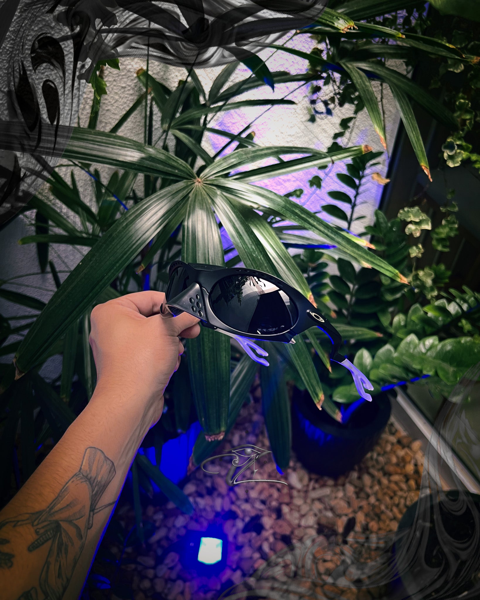 Oakley, Lupas, Juliet, Radar