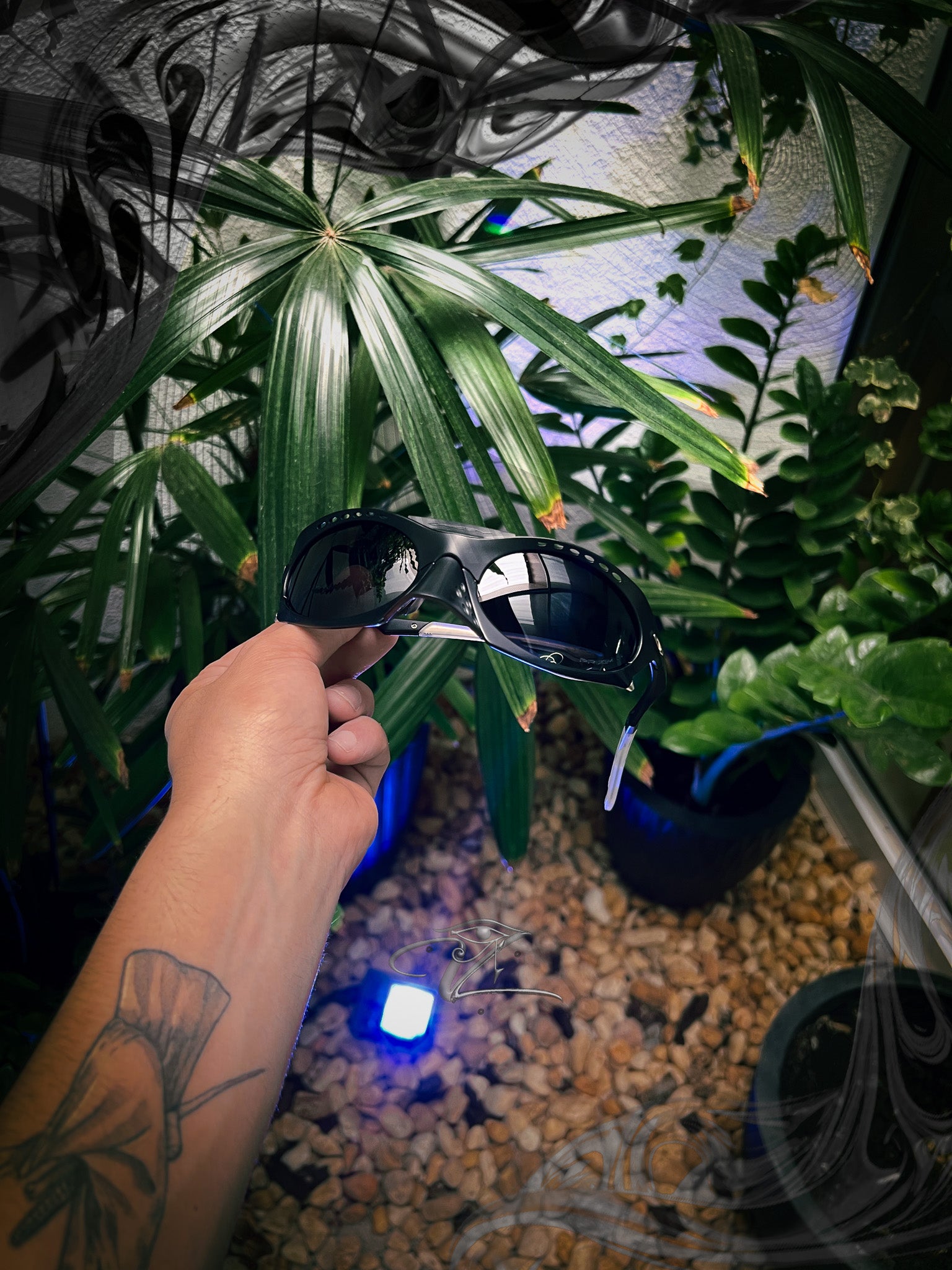 Oakley, Lupas, Juliet, Radar