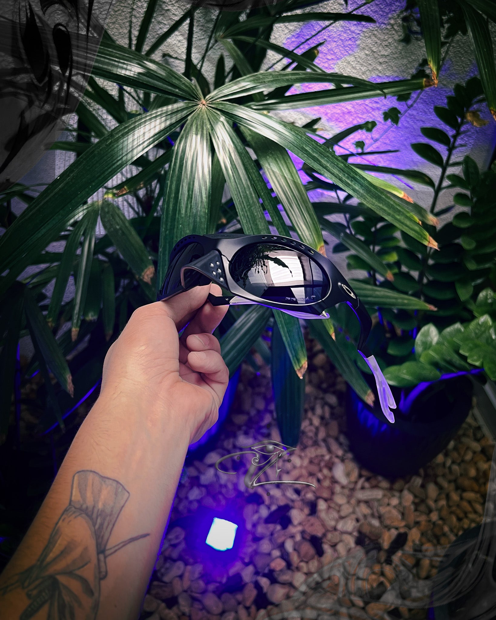 Oakley, Lupas, Juliet, Radar