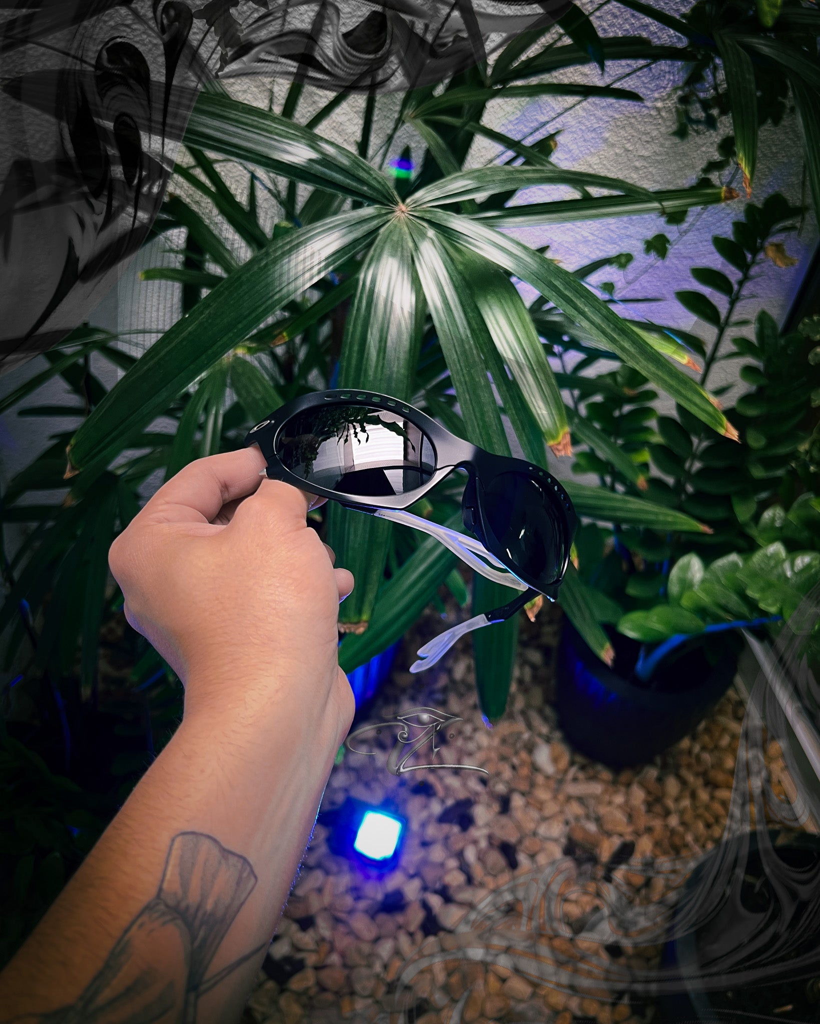 Oakley, Lupas, Juliet, Radar