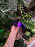Óculos Radar Toda Roxa - EV Path Lilac Metallic Violet Iridium