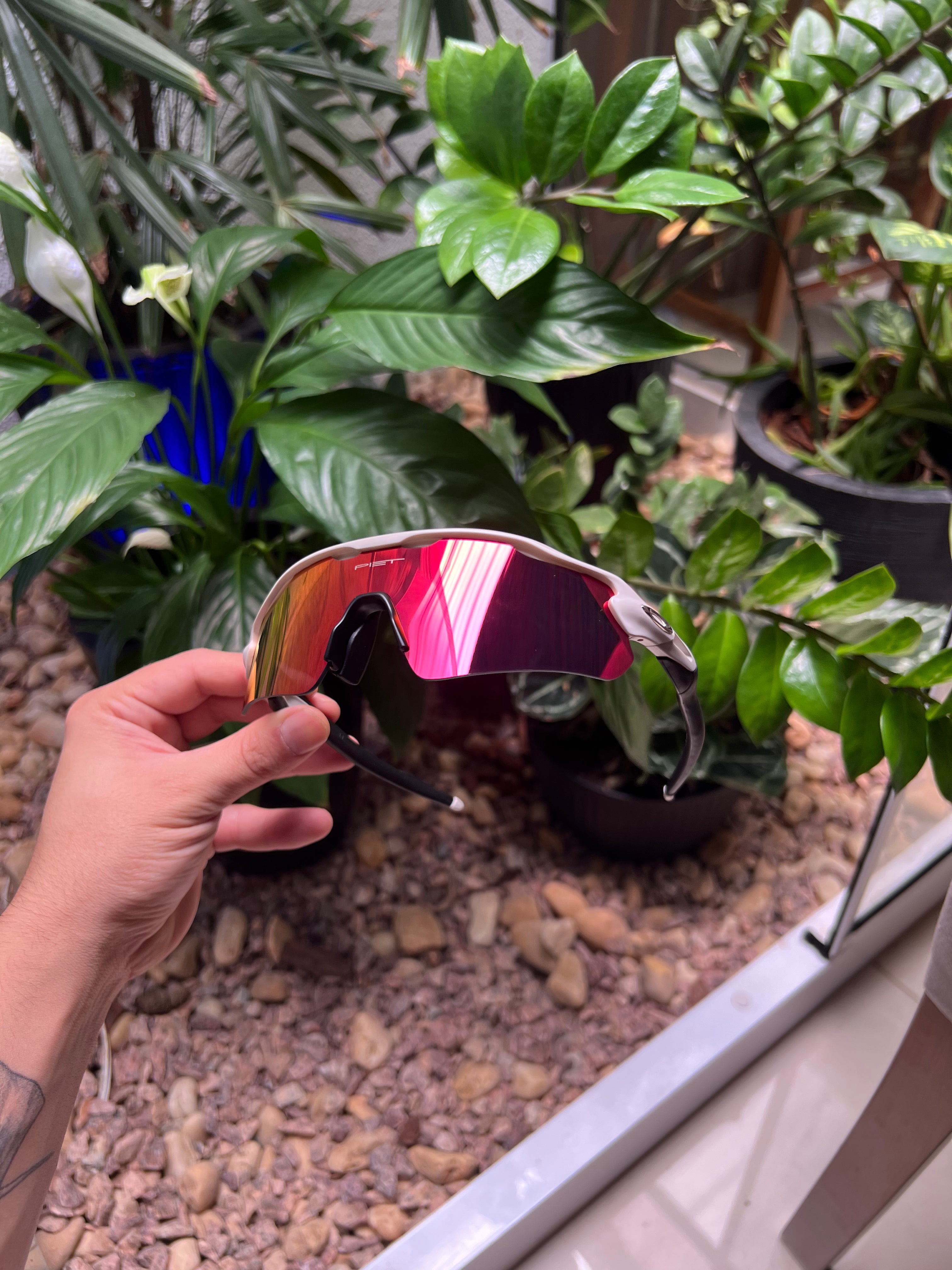Oakley, Lupas, Juliet, Radar