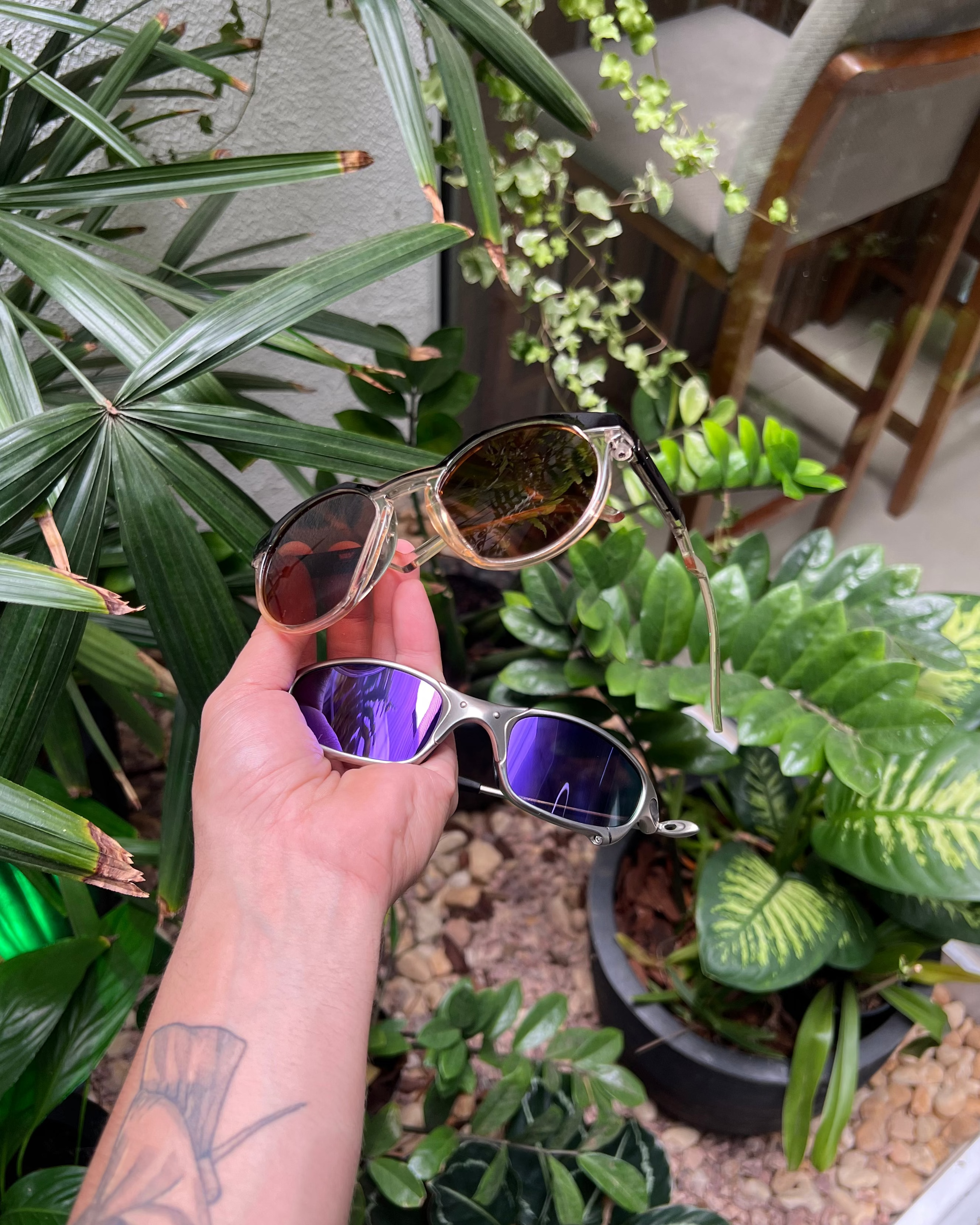 Oakley, Lupas, Juliet, Radar
