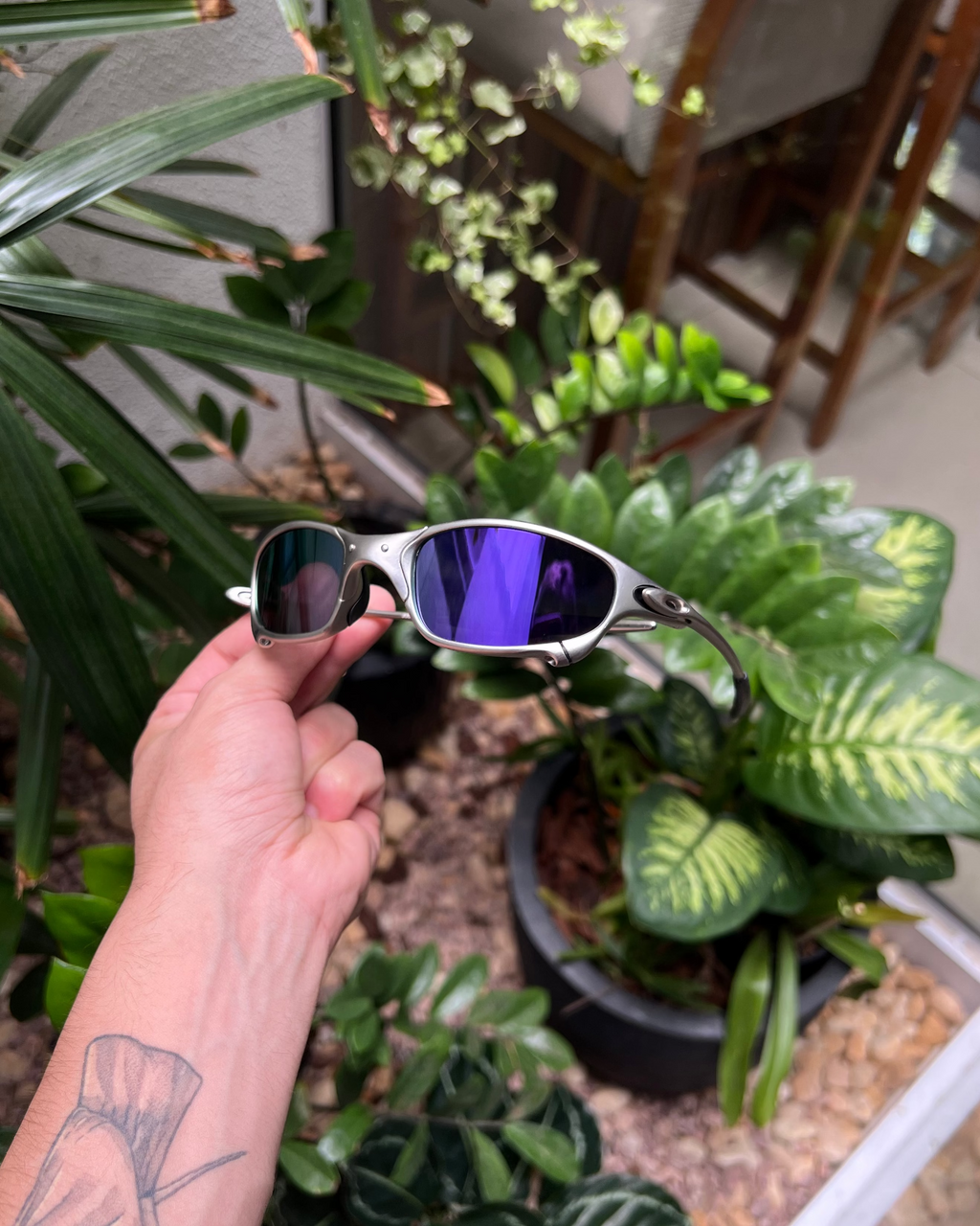 Oakley, Lupas, Juliet, Radar